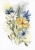 Kwiaty - oryginał, akwarela 0773 / Anna Lipowska / Dekoracja Wnętrz / Obrazy