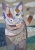 Gabriela Krawczyk, Dekoracja Wnętrz, Obrazy, Obraz akry, kolaż na płótnie 70x50cm - Mozaikowy kot