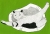 Grafika ze śpiącym kotem - kolor jasno zielony / Anna Bednarczyk Ilustracje / Dekoracja Wnętrz / Rysunki i Grafiki