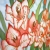 gladiole na jedwabiu / GRAFIJA / Dekoracja Wnętrz / Obrazy