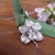 Mała Orchidea z ogonkiem / Ksenia.art / Biżuteria / Wisiory