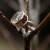 delikatny pierścionek ze szkłem fusingowym z serii "Woda" / CERAMICUS / Biżuteria / Pierścionki