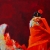 Ogniste Flamenco 100x80 / Magdalena Sarnat / Dekoracja Wnętrz / Obrazy