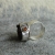 Klejnoty Morii - srebrny pierścień z cytrynem / Rivendell / Biżuteria / Pierścionki