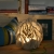 GOceramika, Dekoracja Wnętrz, Lampy, Ręcznie wykonana, rzeźbiarska lampa ceramiczna