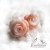 roses - koralowe róże / lookrecya / Biżuteria / Kolczyki