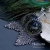 Alabama Studio: Exotic birds