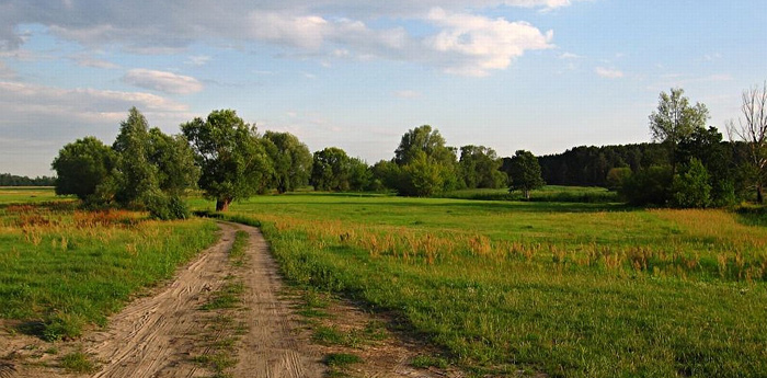 Malowarnia
