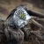 Kornelia Sus, Biżuteria, Pierścionki, W ziarenkach czasu - srebrny pierścionek z ammolitem