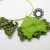 Zielony komplet soutache (wisior, kolczyki) / Tender December / Biżuteria / Komplety