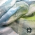 Zielony jedwab / Tender December / Moda / Szale i chusty
