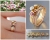 Komplet złotych pierścionków: turmalin, różowy szafir i brylanty / BIZOE / Biżuteria / Pierścionki