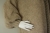 Długi beżowy kardigan wykonany z jedwabiu, alpaki i wełny, gotowy do wysyłki- beige cardigan / Knitwear Factory / Moda / Swetry i poncza