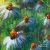 PASTEL - RUMIANEK / Galeria na piętrze / Dekoracja Wnętrz / Rysunki i Grafiki