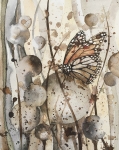 Motyl - oryginał, akwarela 0082