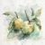 Jabłka- akwarela, oryginał  0460