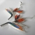 Strelicja królewska / Strelitzia reginae / Bird of Paradise / Strelitzia / Crane Flower ... / jolantabromke / Biżuteria / Kolczyki