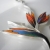 Strelicja królewska / Strelitzia reginae / Bird of Paradise / Strelitzia / Crane Flower ... / jolantabromke / Biżuteria / Kolczyki