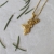 Jeleń mini amulet ze złoconego srebra / Cztery Humory / Biżuteria / Wisiory