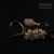 Queen Velvet / Fiszerowa / Biżuteria / Kolczyki