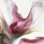 Blossoming magnolia (62) / Fiszerowa / Dekoracja Wnętrz / Obrazy