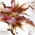 Burnig flower II (64) / Fiszerowa / Dekoracja Wnętrz / Obrazy