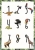 Plakat A3 - cyfry na tle z zieloną ramką / Anna Bednarczyk Ilustracje / Dekoracja Wnętrz / Rysunki i Grafiki