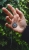 EVIL EYE - Srebrny amulet z Apatytem / Joanna Watracz / Biżuteria / Naszyjniki