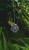 EVIL EYE - Srebrny amulet z Apatytem / Joanna Watracz / Biżuteria / Naszyjniki