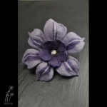 BELLADONNA