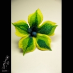 CYTRYNIA