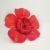 Broszki daboo