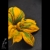 daboo, Biżuteria, Broszki, DYNIOWIEC BRĄZOWAWY