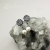 Ogród miniatur - perły / Drakonaria / Biżuteria / Kolczyki