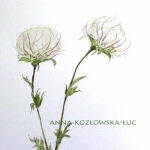 Rysunki i Grafiki