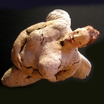 Ceramika