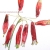 Z zielnika,dichelostemma ida-maia
