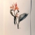 Herbarium, I / anna kozłowska-łuc / Dekoracja Wnętrz / Rysunki i Grafiki