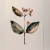 Herbarium, III / anna kozłowska-łuc / Dekoracja Wnętrz / Rysunki i Grafiki