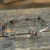 granaty / mz studio / Biżuteria / Bransolety