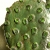 kaktus z kolcami / Joanna Lewandowska / Dekoracja Wnętrz / Ceramika