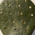 kaktus ażurowy / Joanna Lewandowska / Dekoracja Wnętrz / Ceramika