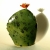 Joanna Lewandowska, Dekoracja Wnętrz, Ceramika, kaktus Florian
