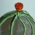 kaktus kaktusowaty / Joanna Lewandowska / Dekoracja Wnętrz / Ceramika