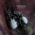 Golden eye / Alabama Studio / Biżuteria / Kolczyki