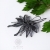 Black orchids III - srebrne kolczyki kwiaty / Alabama Studio / Biżuteria / Kolczyki