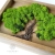 Drzewo życia - drewniane pudełko z wieczkiem zdobionym motywem drzewa