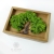 Drzewo życia - drewniane pudełko z wieczkiem zdobionym motywem drzewa / Alabama Studio / Dekoracja Wnętrz / Inne