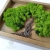 Drzewo życia - drewniane pudełko z wieczkiem zdobionym motywem drzewa / Alabama Studio / Dekoracja Wnętrz / Inne