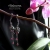 Dark lilies / Alabama Studio / Biżuteria / Kolczyki